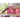 Tent Twin Low Loft Bed W/ Slide in Espresso-Donco