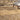 Saint-Michel Taupe Area Rug Rectangle 4' x 5'7"