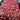 Taufner Floral Red/Multi Area Rug, Rug Size: Rectangle 3'3" x 5'3"