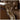 Rustic Brown Leatherette Accent Chair - Vaugh